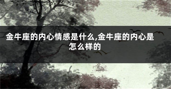 金牛座的内心情感是什么,金牛座的内心是怎么样的