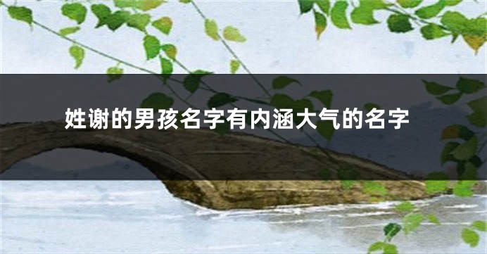 姓谢的男孩名字有内涵大气的名字