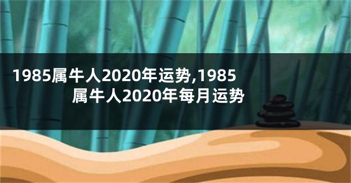 1985属牛人2020年运势,1985属牛人2020年每月运势