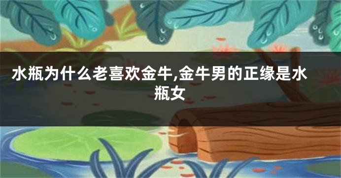 水瓶为什么老喜欢金牛,金牛男的正缘是水瓶女