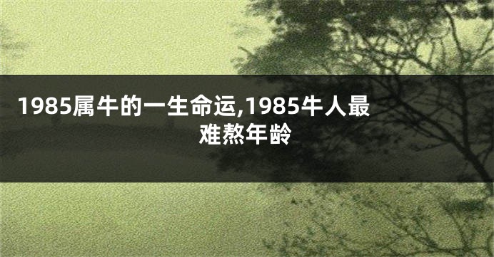 1985属牛的一生命运,1985牛人最难熬年龄