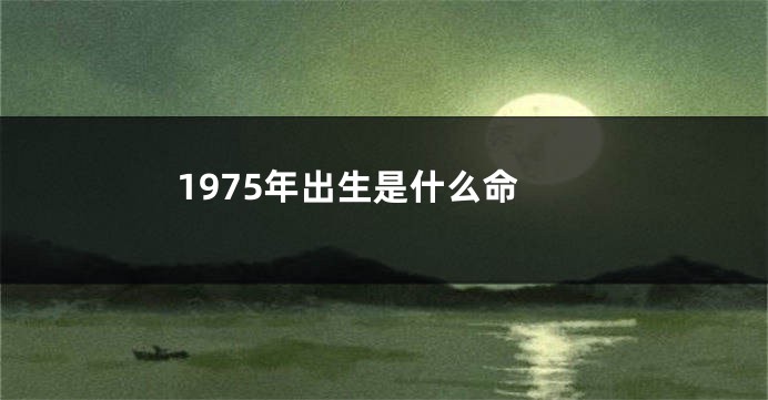 1975年出生是什么命