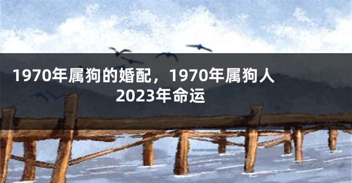 1970年属狗的婚配，1970年属狗人2023年命运