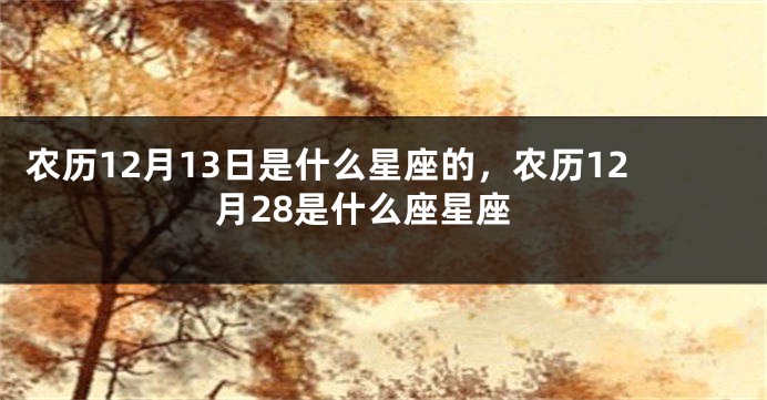农历12月13日是什么星座的,农历12月28是什么座星座