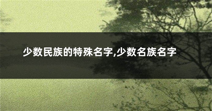 少数民族的特殊名字,少数名族名字