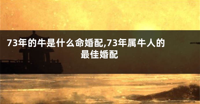 73年的牛是什么命婚配,73年属牛人的最佳婚配