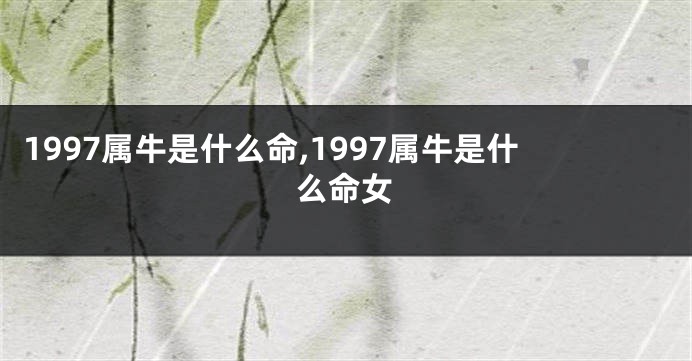 1997属牛是什么命,1997属牛是什么命女