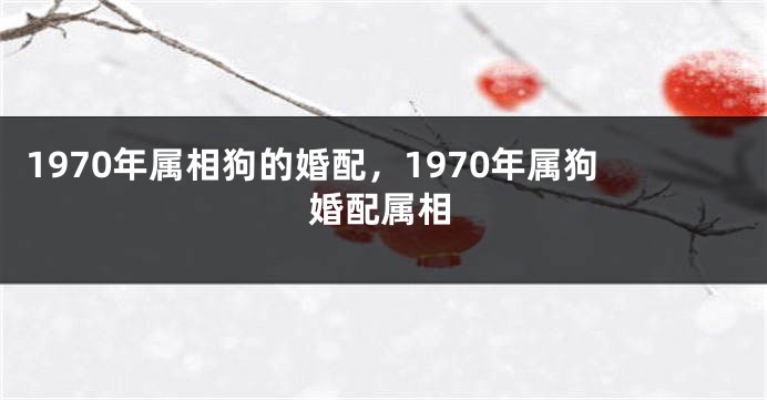 1970年属相狗的婚配,1970年属狗婚配属相