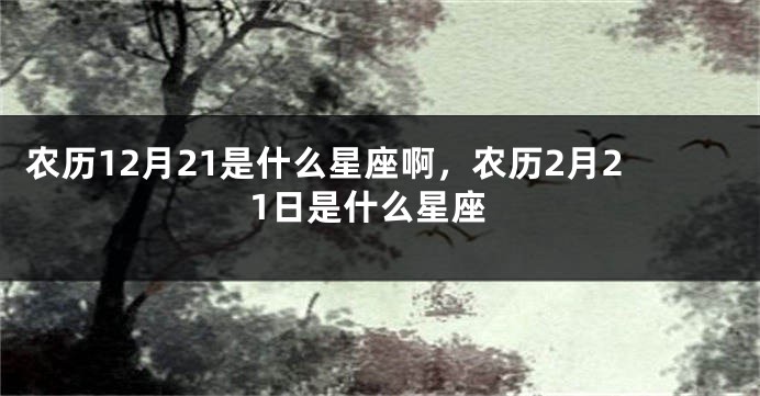 农历12月21是什么星座啊,农历2月21日是什么星座
