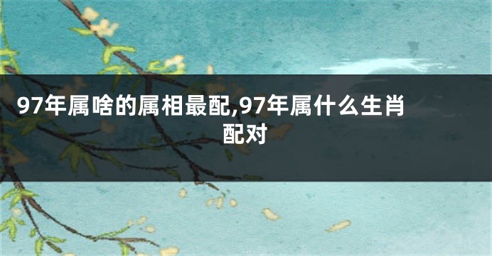 97年属啥的属相最配,97年属什么生肖配对