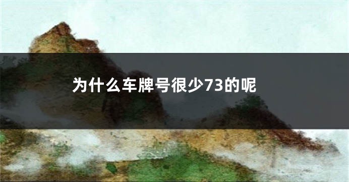 为什么车牌号很少73的呢
