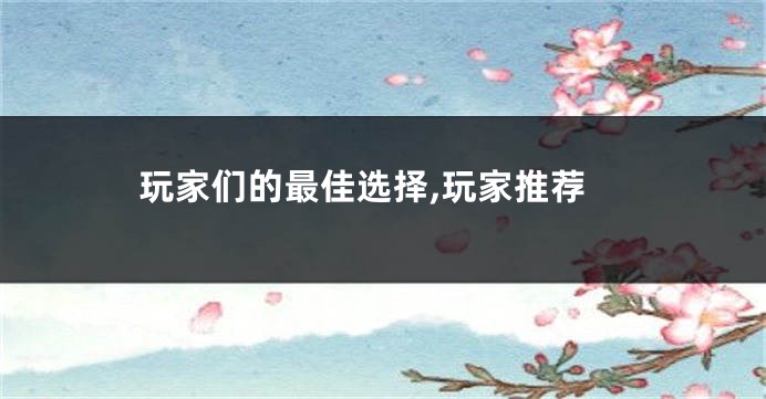 玩家们的最佳选择,玩家推荐