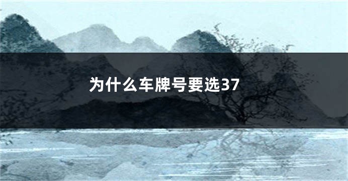 为什么车牌号要选37