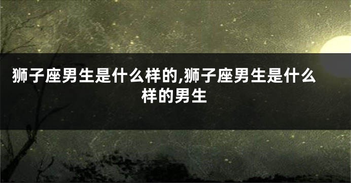 狮子座男生是什么样的,狮子座男生是什么样的男生