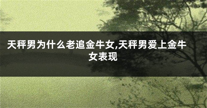 天秤男为什么老追金牛女,天秤男爱上金牛女表现