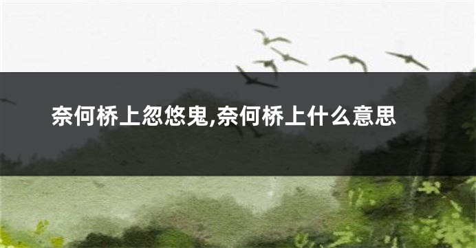 奈何桥上忽悠鬼,奈何桥上什么意思