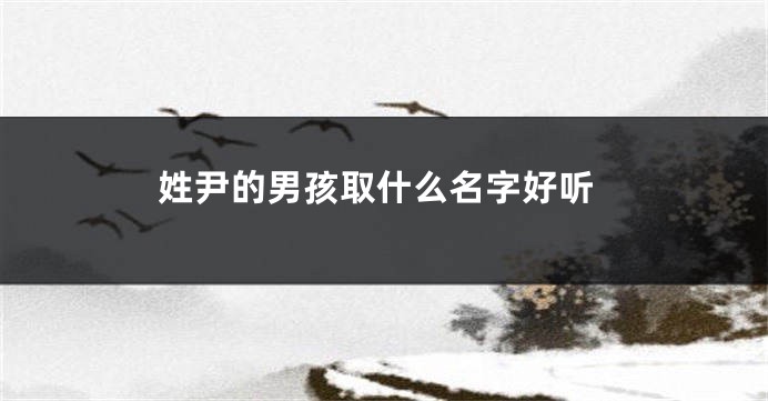 姓尹的男孩取什么名字好听