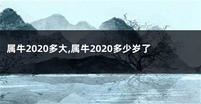 属牛2020多大,属牛2020多少岁了