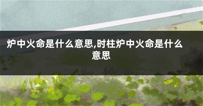 炉中火命是什么意思,时柱炉中火命是什么意思