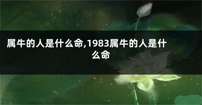 属牛的人是什么命,1983属牛的人是什么命