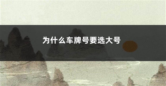 为什么车牌号要选大号