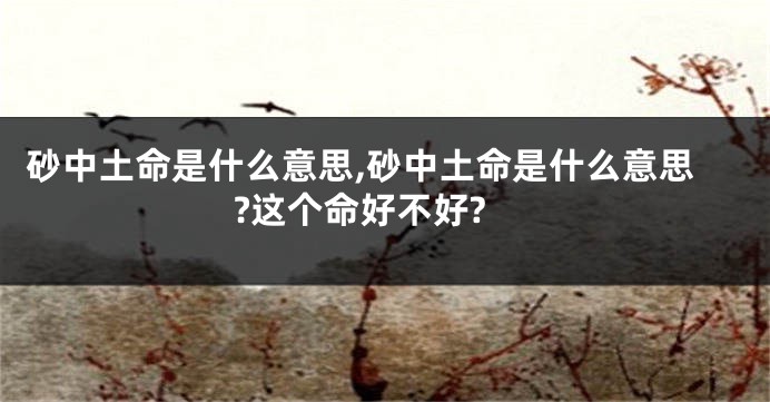砂中土命是什么意思,砂中土命是什么意思?这个命好不好?