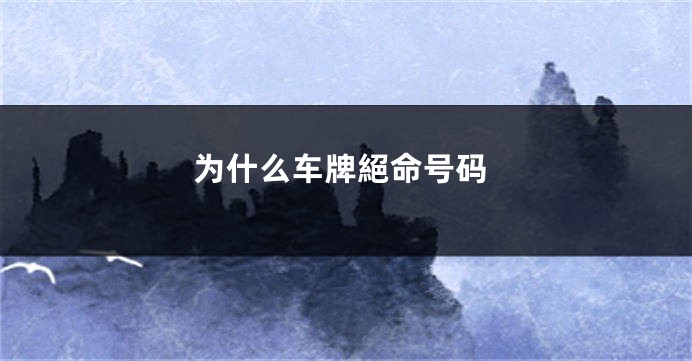 为什么车牌絕命号码