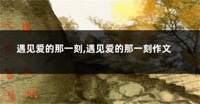 遇见爱的那一刻,遇见爱的那一刻作文