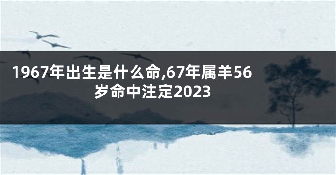 1967年出生是什么命,67年属羊56岁命中注定2023