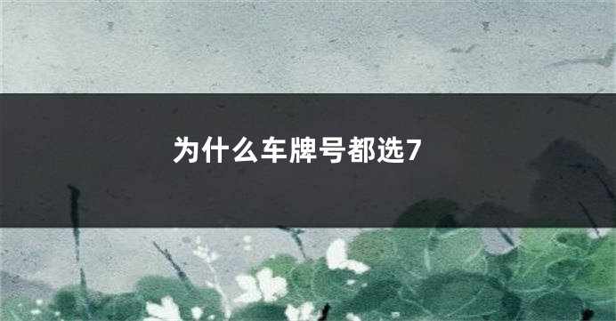 为什么车牌号都选7