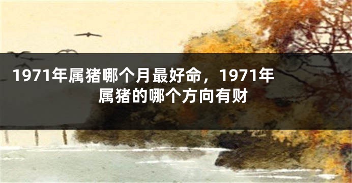 1971年属猪哪个月最好命,1971年属猪的哪个方向有财