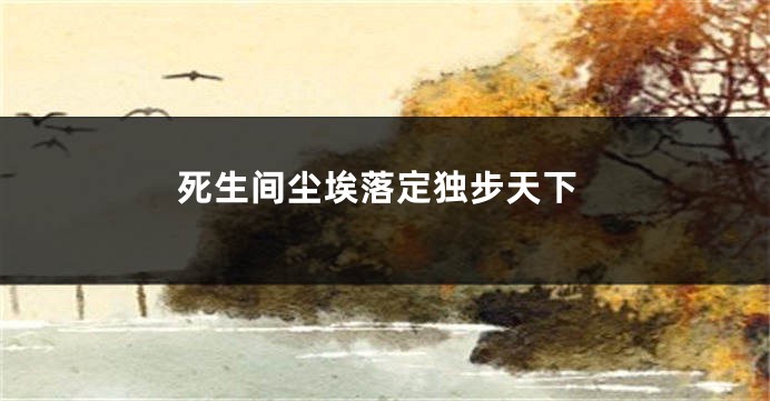 死生间尘埃落定独步天下