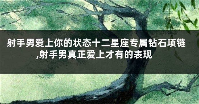 射手男爱上你的状态十二星座专属钻石项链,射手男真正爱上才有的表现
