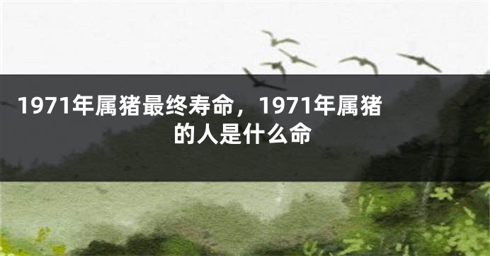 1971年属猪最终寿命,1971年属猪的人是什么命