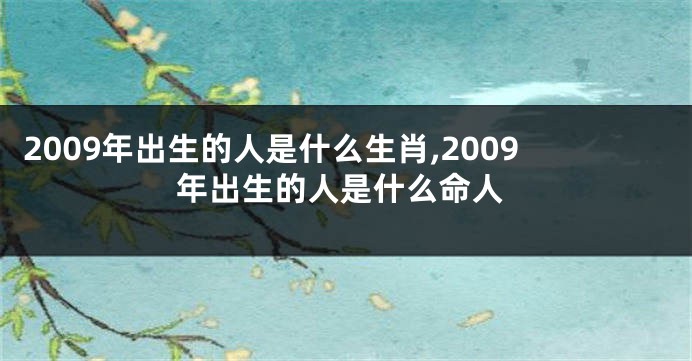 2009年出生的人是什么生肖,2009年出生的人是什么命人