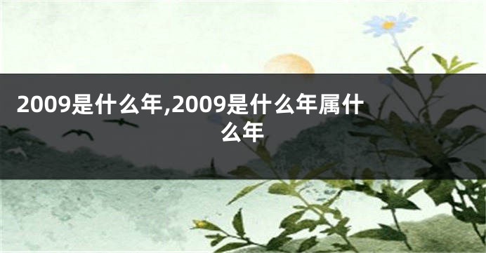 2009是什么年,2009是什么年属什么年