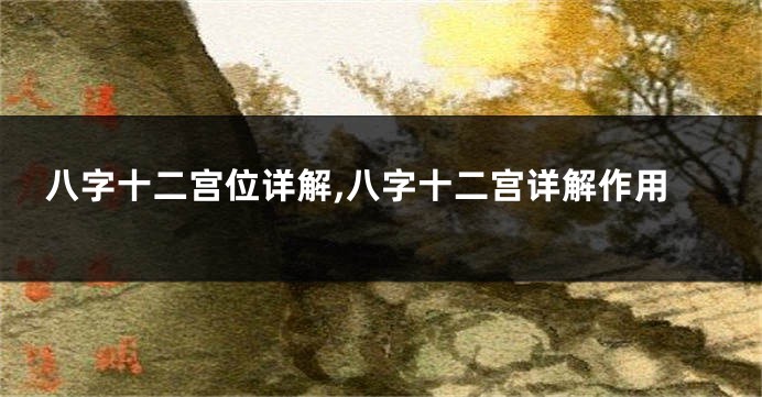 八字十二宫位详解,八字十二宫详解作用