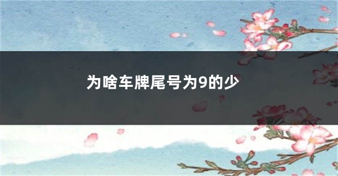 为啥车牌尾号为9的少