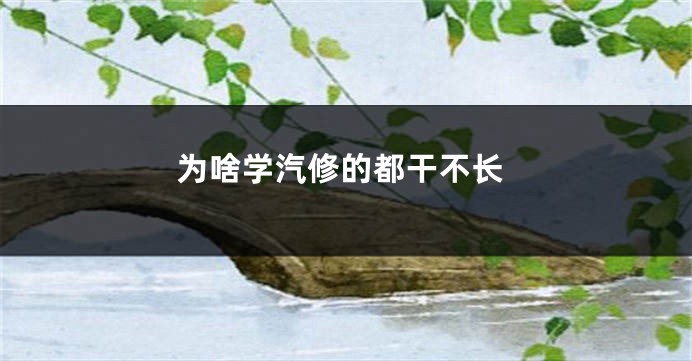 为啥学汽修的都干不长