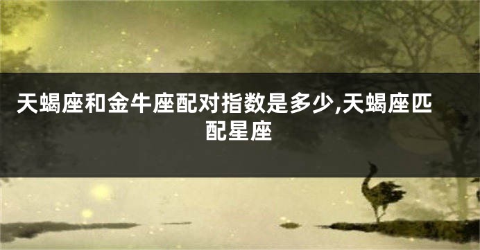 天蝎座和金牛座配对指数是多少,天蝎座匹配星座