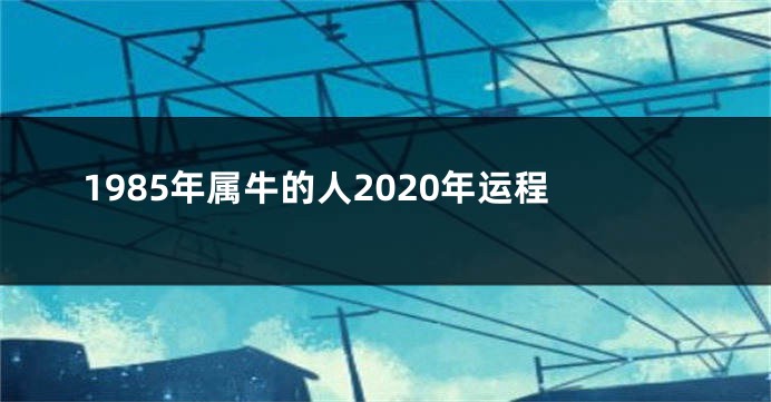1985年属牛的人2020年运程