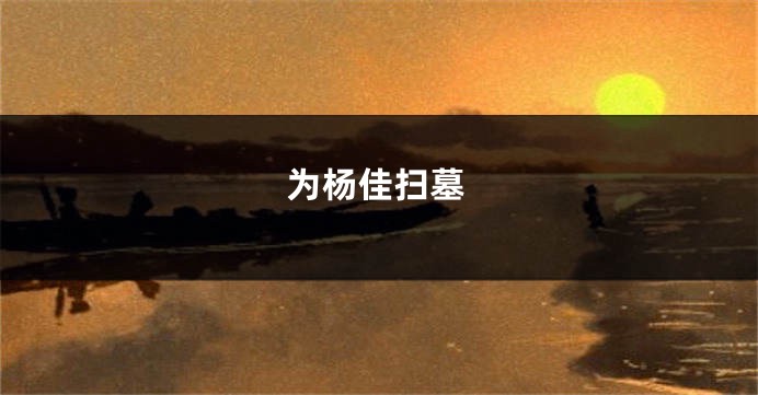 为杨佳扫墓