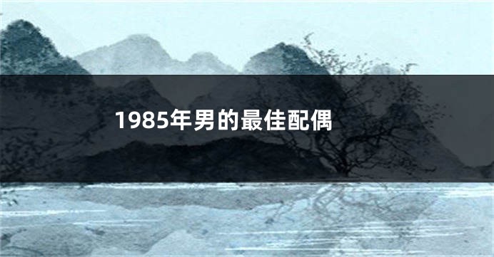 1985年男的最佳配偶