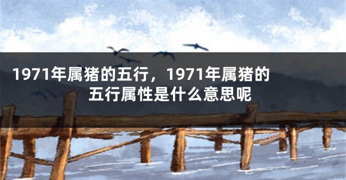 1971年属猪的五行,1971年属猪的五行属性是什么意思呢