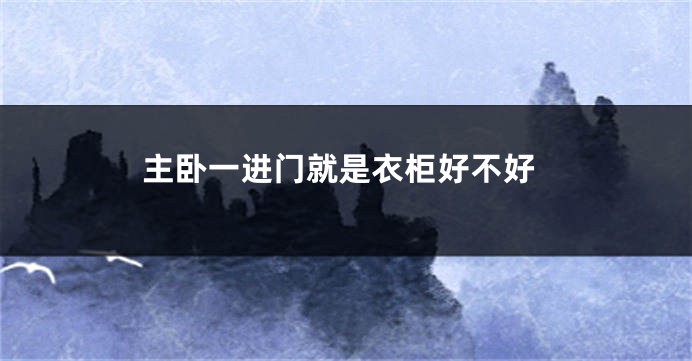 主卧一进门就是衣柜好不好