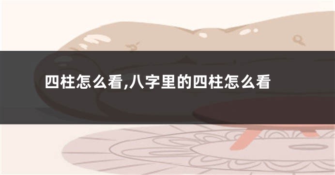 四柱怎么看,八字里的四柱怎么看