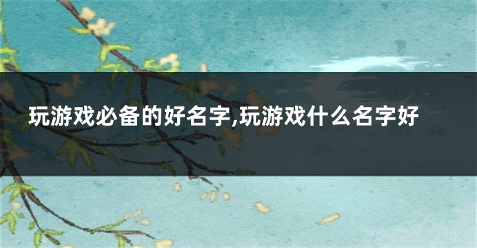 玩游戏必备的好名字,玩游戏什么名字好