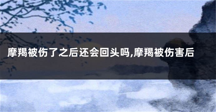 摩羯被伤了之后还会回头吗,摩羯被伤害后