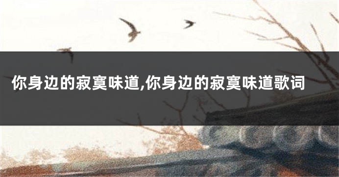 你身边的寂寞味道,你身边的寂寞味道歌词