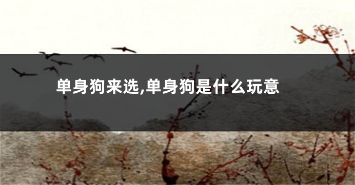 单身狗来选,单身狗是什么玩意